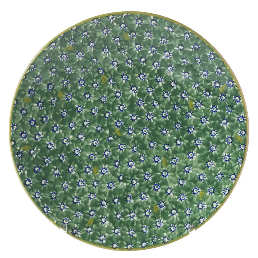 Best Sale 2 Everyday Plates In Lawn Green Plates