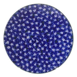 Online 2 Everyday Plates In Lawn Dark Blue Plates