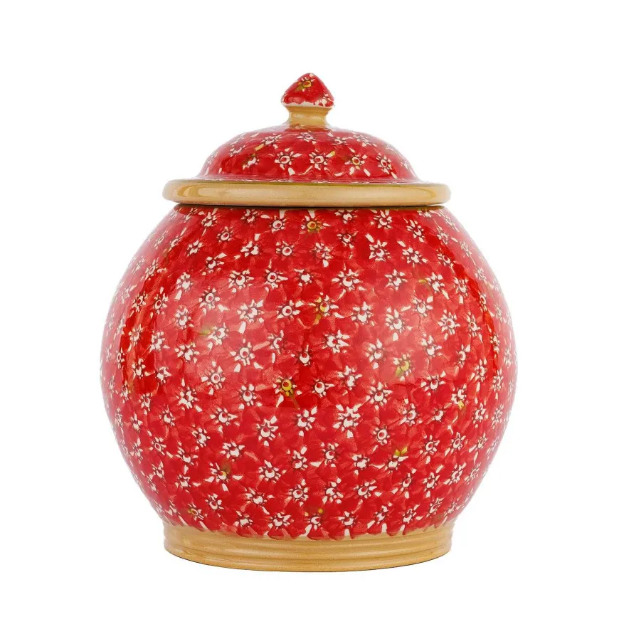 Hot Cookie Jar Lawn Red Christmas