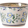 Online Custard Cup Forget Me Not Forget Me Not