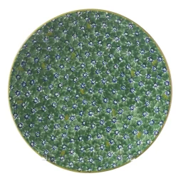 Best Everyday Plate Lawn Green Plates