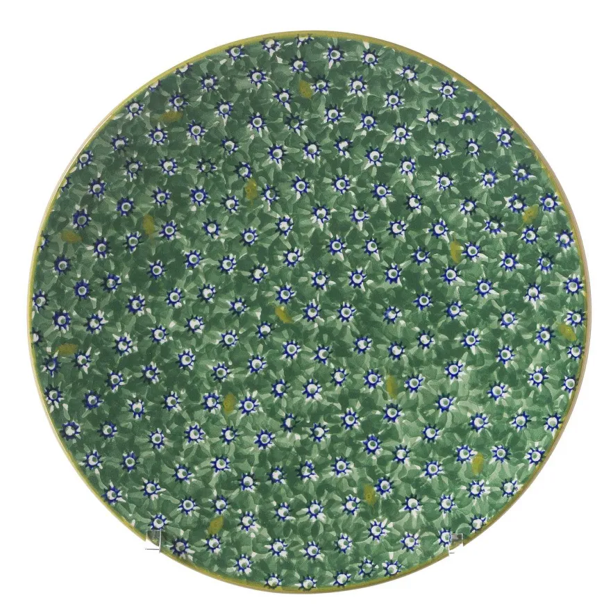 Clearance Everyday Plate Lawn Green Lawn