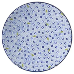 Flash Sale Everyday Plate Lawn Light Blue Plates