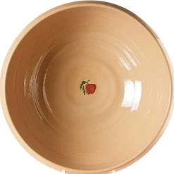 Best Sale Large Bowl Apple Apple