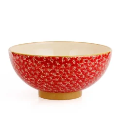 Clearance Salad Bowl Red Lawn New In