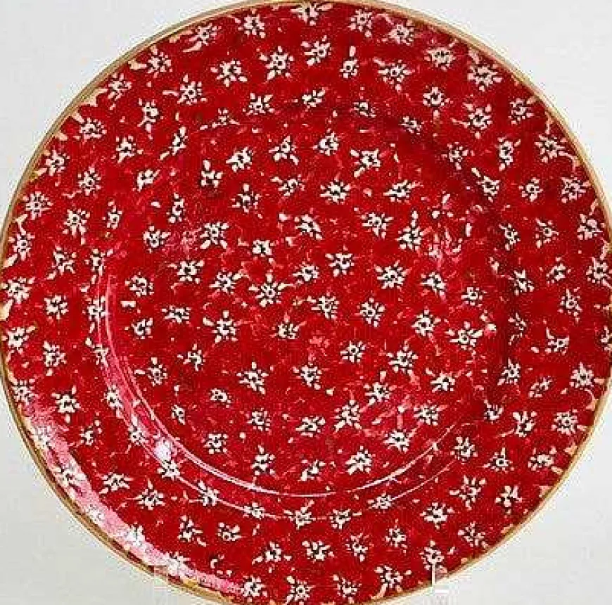 Store Serving Plate Red Lawn New In