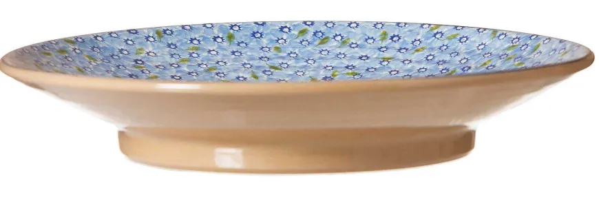 Cheap Shallow Dish Lawn Light Blue Serving