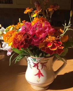 Discount Small Jug Fuchsia Jugs