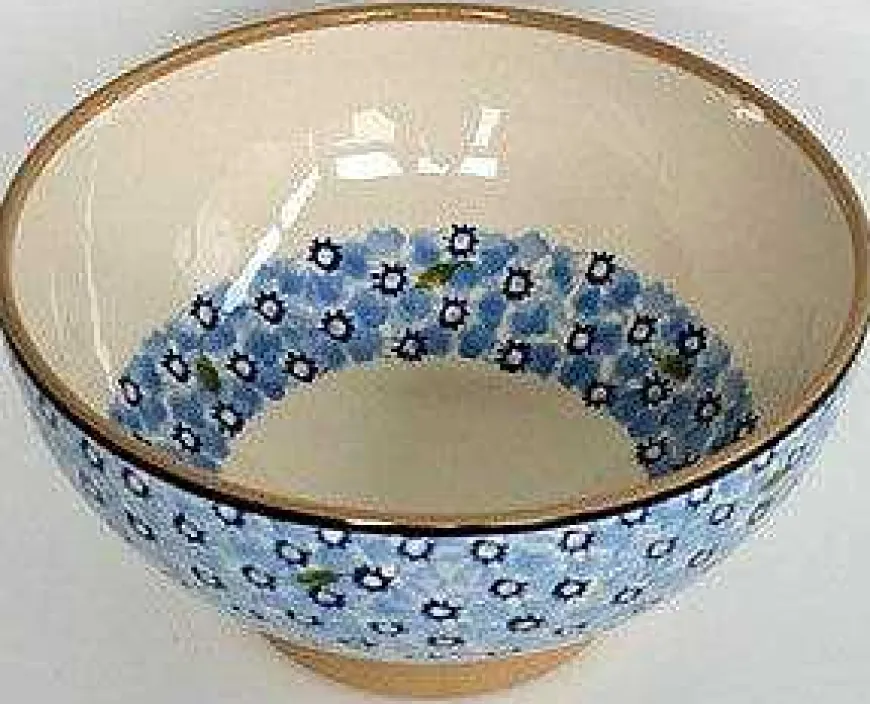 New Vegetable Bowl Light Blue Lawn Lawn